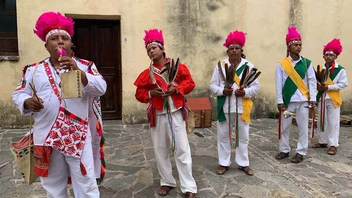 Pueblos indígenas Lengua Materna (2)